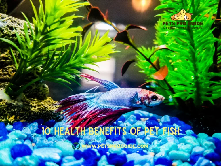 10 Health Benefits of Pet Fish