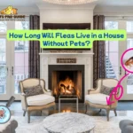 How long will fleas live in a house without pets? Discover flea survival time, life cycle, and effective ways to get rid of fleas in a pet-free home.