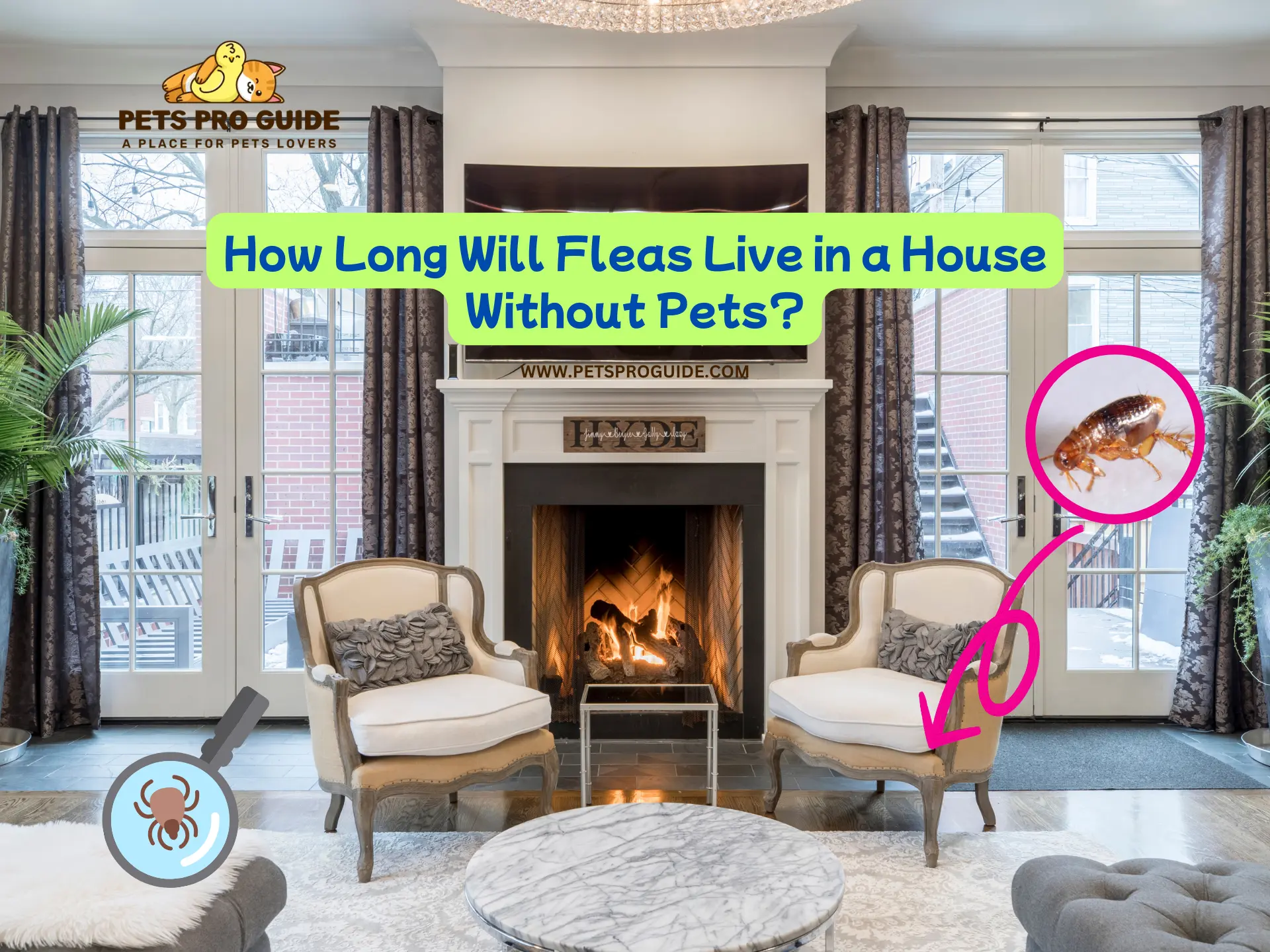 How long will fleas live in a house without pets? Discover flea survival time, life cycle, and effective ways to get rid of fleas in a pet-free home.